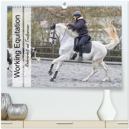 Working Equitation (hochwertiger Premium Wandkalender 2024 DIN A2 quer) - Kunstdruck in Hochglanz