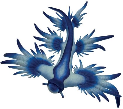 Blaue Ozeanschnecke - Spielfigur