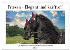 Friesen - elegant und kraftvoll (Wandkalender 2024 DIN A2 quer), CALVENDO Monatskalender