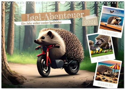 Igel-Abenteuer (Wandkalender 2024 DIN A3 quer) - CALVENDO Monatskalender