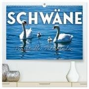 Schwäne - Prachtvolle Federkleider. (hochwertiger Premium Wandkalender 2024 DIN A2 quer), Kunstdruck in Hochglanz