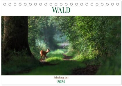 WALD Erholung pur (Tischkalender 2024 DIN A5 quer) - CALVENDO Monatskalender