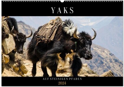 Yaks - auf steinigen Pfaden (Wandkalender 2024 DIN A2 quer), CALVENDO Monatskalender