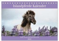 Islandpferde Kalender (Tischkalender 2024 DIN A5 quer) - CALVENDO Monatskalender