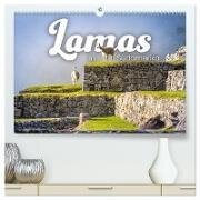 Lamas in Südamerika (hochwertiger Premium Wandkalender 2024 DIN A2 quer) - Kunstdruck in Hochglanz