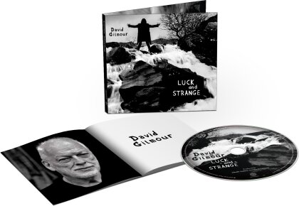David Gilmour - Luck and Strange