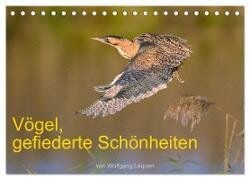 Vögel, Gefiederte Schönheiten (Tischkalender 2024 DIN A5 quer) - CALVENDO Monatskalender