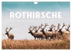 Rothirsche - Die imposanten Könige der Wälder. (Wandkalender 2024 DIN A4 quer), CALVENDO Monatskalender