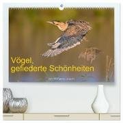 Vögel, Gefiederte Schönheiten (hochwertiger Premium Wandkalender 2024 DIN A2 quer) - Kunstdruck in Hochglanz