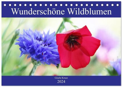 Wunderschöne Wildblumen (Tischkalender 2024 DIN A5 quer) - CALVENDO Monatskalender