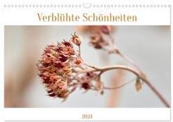 Verblühte Schönheiten (Wandkalender 2024 DIN A3 quer) - CALVENDO Monatskalender