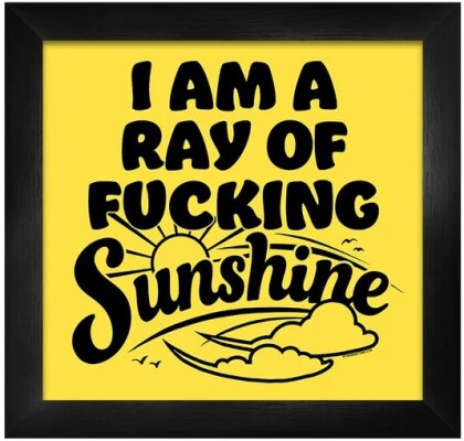 I Am A Ray Of Fucking Sunshine - Framed Print