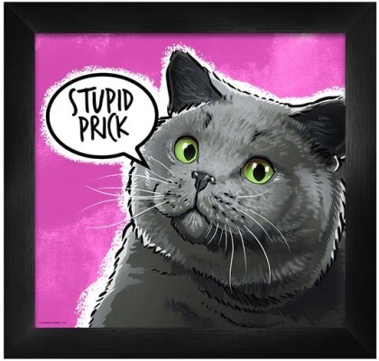 Cute But Abusive: Stupid Prick - Framed Print