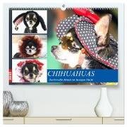 Chihuahuas. Zuckersüße Hunde im lustigen Outfit (hochwertiger Premium Wandkalender 2025 DIN A2 quer) - Kunstdruck in Hochglanz