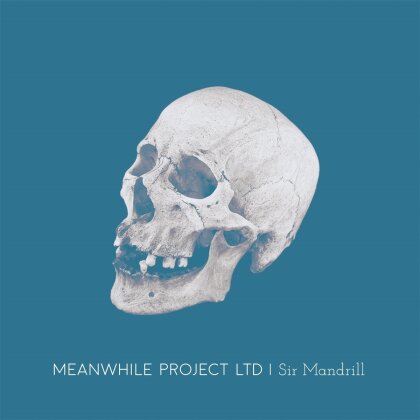 Meanwhile Project Ltd - Sir Mandrill (LP)