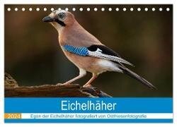Eichelhäher - Egon der Eichelhäher fotografiert von Ostfriesenfotografie (Tischkalender 2024 DIN A5 quer), CALVENDO Monatskalender