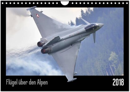 Flügel über den Alpen (Wandkalender 2025 DIN A4 quer) - CALVENDO Monatskalender