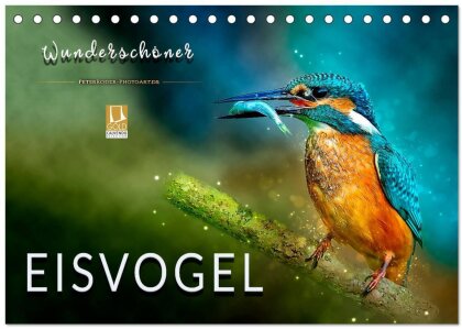 Wunderschöner Eisvogel (Tischkalender 2025 DIN A5 quer) - CALVENDO Monatskalender