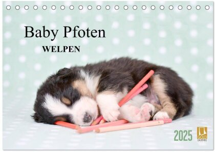 Baby Pfoten (Tischkalender 2025 DIN A5 quer) - CALVENDO Monatskalender