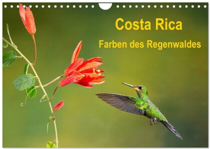 Costa Rica - Farben des Regenwaldes (Wandkalender 2025 DIN A4 quer), CALVENDO Monatskalender