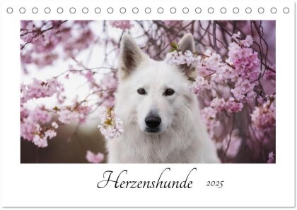 Herzenshunde 2025 (Tischkalender 2025 DIN A5 quer) - CALVENDO Monatskalender