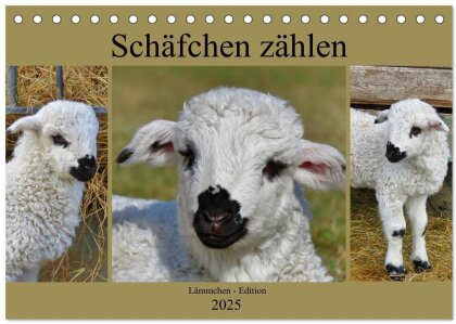 Schäfchen zählen - Lämmchen-Edition (Tischkalender 2025 DIN A5 quer), CALVENDO Monatskalender