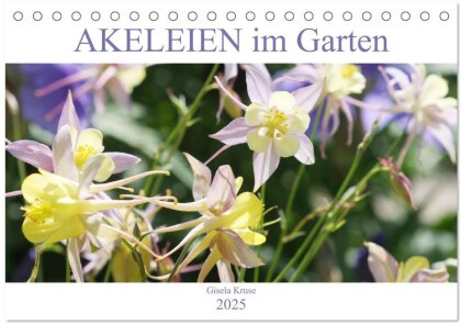 Akeleien im Garten (Tischkalender 2025 DIN A5 quer) - CALVENDO Monatskalender