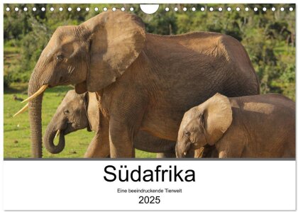 Südafrika - Eine beeindruckende Tierwelt (Wandkalender 2025 DIN A4 quer), CALVENDO Monatskalender