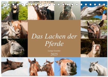 Das Lachen der Pferde - Lustige Gesichter (Tischkalender 2025 DIN A5 quer), CALVENDO Monatskalender