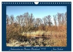 Jahreszeiten im Bremer Blockland (Wandkalender 2025 DIN A4 quer) - CALVENDO Monatskalender
