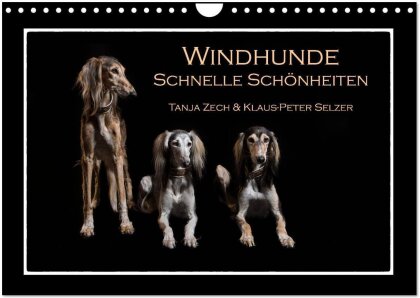 Windhunde - Schnelle Schönheiten (Wandkalender 2025 DIN A4 quer), CALVENDO Monatskalender