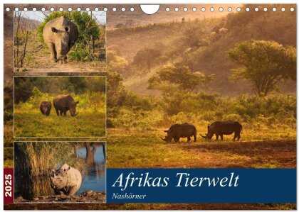 Afrikas Tierwelt - Nashörner (Wandkalender 2025 DIN A4 quer), CALVENDO Monatskalender