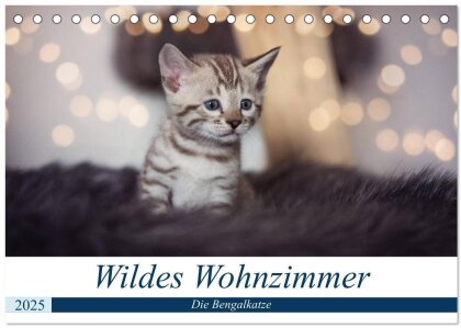 Wildes Wohnzimmer - Die Bengalkatze (Tischkalender 2025 DIN A5 quer), CALVENDO Monatskalender