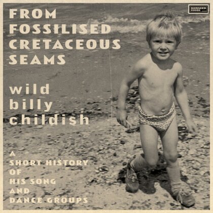 Wild Billy Childish - From Fossilised Cretaceous Seams: A Short History Of His Song And Dance Groups (2 CDs)