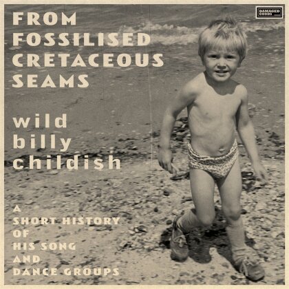 Wild Billy Childish - From Fossilised Cretaceous Seams: A Short History Of His Song And Dance Groups (2 LPs)