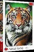 Puzzle 1500 - Portrait eines Tiger's