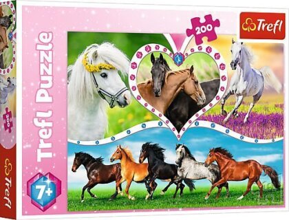 Puzzle 200 Schöne Pferde