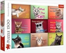 Puzzle 1500 - Lustige Katzenporträts