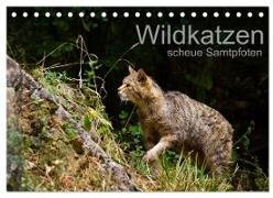 Wildkatzen - scheue Samtpfoten (Tischkalender 2025 DIN A5 quer), CALVENDO Monatskalender
