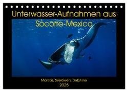 Unterwasser-Aufnahmen aus Socorro-Mexico (Tischkalender 2025 DIN A5 quer) - CALVENDO Monatskalender