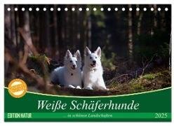 Weiße Schäferhunde in schönen Landschaften (Tischkalender 2025 DIN A5 quer) - CALVENDO Monatskalender