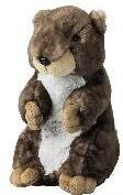 Plüsch Murmeltier stehend 20cm