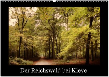 Der Reichswald bei Kleve (Wandkalender 2025 DIN A2 quer) - CALVENDO Monatskalender