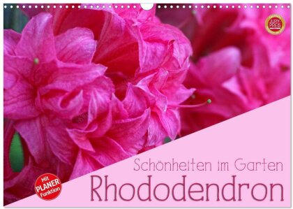 Rhododendron Schönheiten im Garten (Wandkalender 2025 DIN A3 quer) - CALVENDO Monatskalender