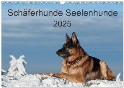 Schäferhunde Seelenhunde (Wandkalender 2025 DIN A3 quer) - CALVENDO Monatskalender