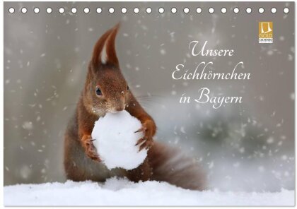 Unsere Eichhörnchen in Bayern (Tischkalender 2025 DIN A5 quer) - CALVENDO Monatskalender