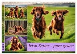 Irish Setter - pure grace (Wall Calendar 2025 DIN A3 landscape), CALVENDO 12 Month Wall Calendar