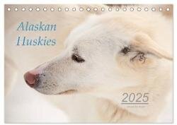 Alaskan Huskies (Tischkalender 2025 DIN A5 quer) - CALVENDO Monatskalender