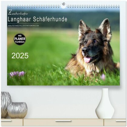 Zauberhafte Langhaar Schäferhunde (hochwertiger Premium Wandkalender 2025 DIN A2 quer) - Kunstdruck in Hochglanz
