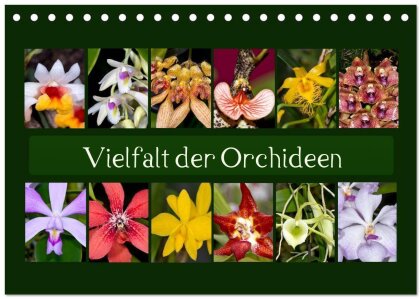 Vielfalt der Orchideen (Tischkalender 2025 DIN A5 quer) - CALVENDO Monatskalender